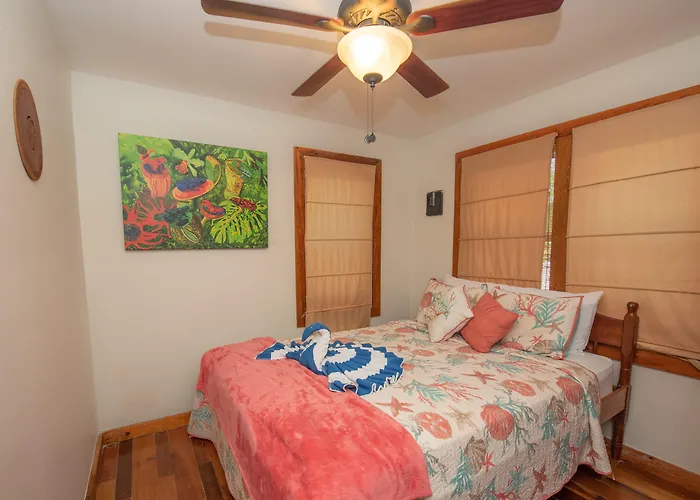 Bella Vista Belize