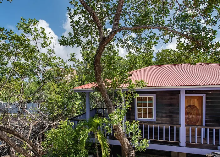 Bella Vista Belize