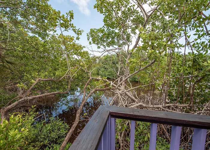Bella Vista Belize Hotel