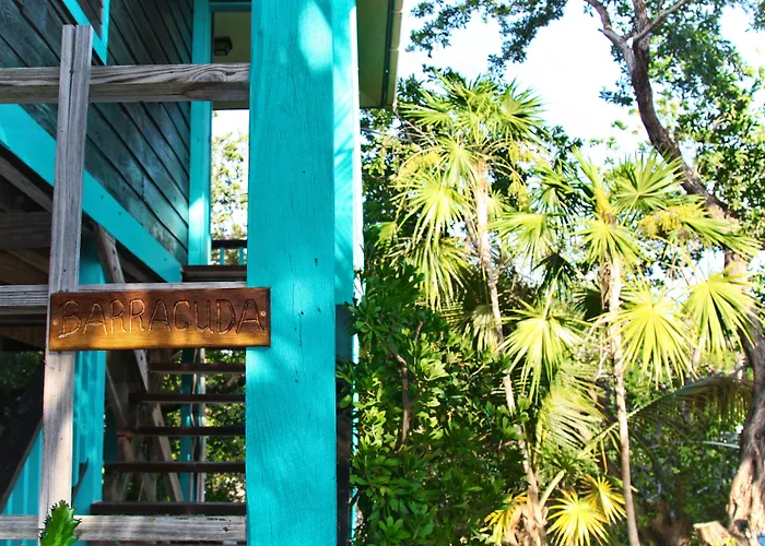 Bella Vista Belize Hotel 3*